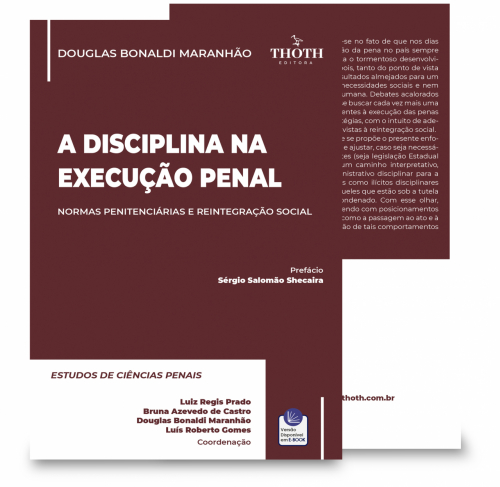 A Disciplina na Execução Penal: Normas Penitenciárias e Reintegração Social