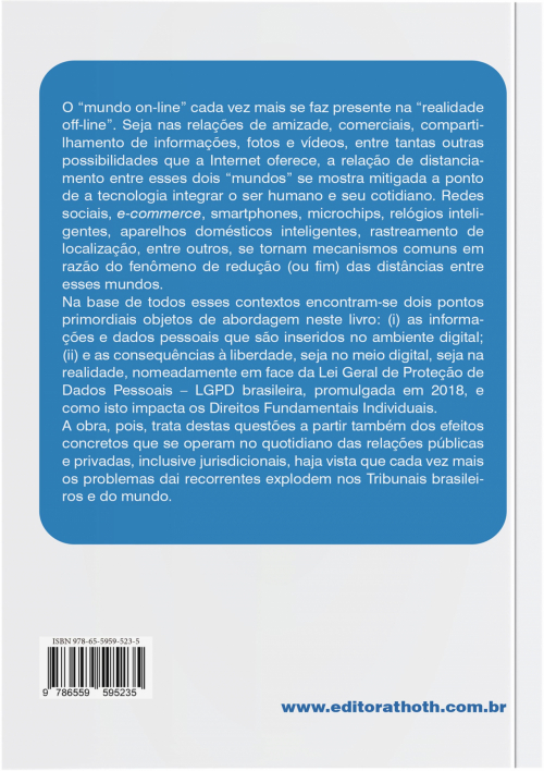 A Proteção de Dados Pessoais no Ambiente Digital e o Sistema Jurídico Brasileiro