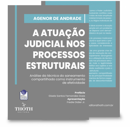 A Atuação Judicial nos Processos Estruturais: Análise da Técnica do Saneamento Compartilhado como Instrumento de Efetividade