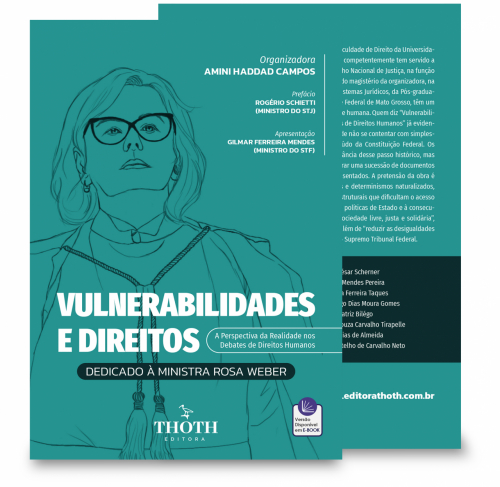 Vulnerabilidades e Direitos: A Perspectiva da Realidade nos Debates de Direitos Humanos - Dedicado à Ministra Rosa Weber