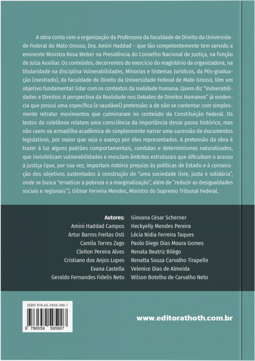 Vulnerabilidades e Direitos: A Perspectiva da Realidade nos Debates de Direitos Humanos - Dedicado à Ministra Rosa Weber