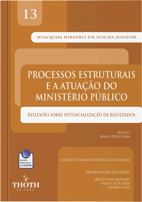 Processos Estruturais e a Atuação do Ministério Público: Reflexões sobre Potencialização de Resultados 