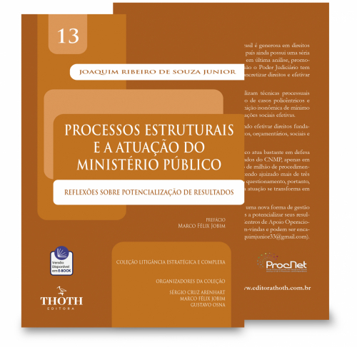 Processos Estruturais e a Atuação do Ministério Público: Reflexões sobre Potencialização de Resultados 