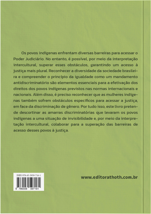 O Processo Coletivo Intercultural: O Direito de Acesso dos Povos Indígenas à Justiça