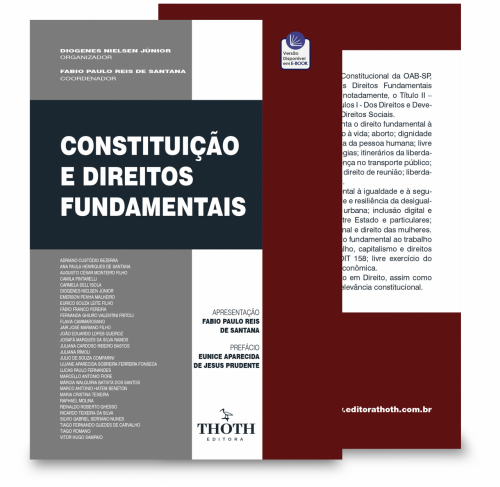 Constituição e Direitos Fundamentais