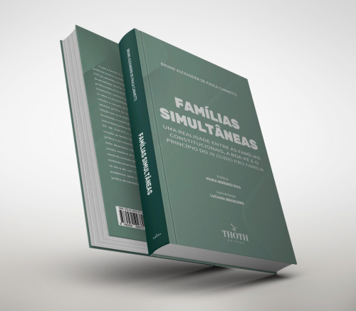 Famílias Simultâneas: Uma Realidade Entre as Famílias Constitucionais, a Boafé e o Princípio do In Dubio Pro Família