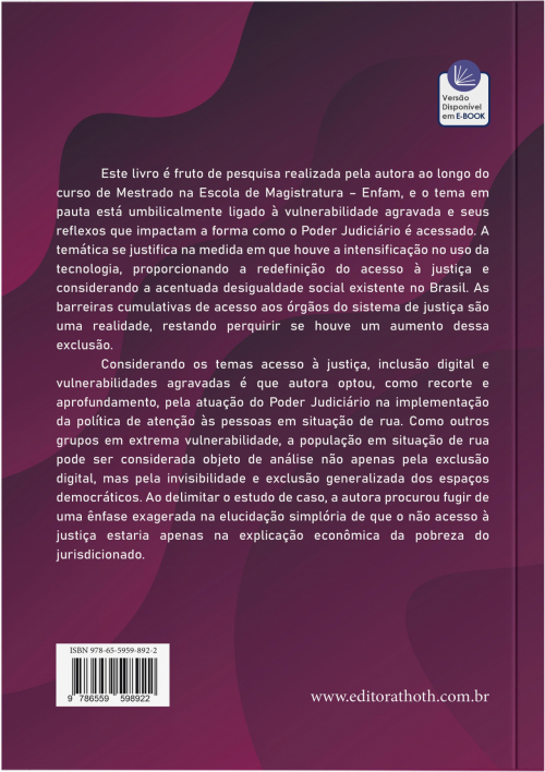 Acesso à Justiça e (in) Exclusão Digital: Enfoque na Pessoa em Situação de Rua como Usuária do Sistema de Justiça Brasileiro