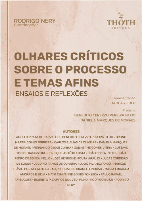 Olhares Críticos Sobre o Processo e Temas Afins: Ensaios e Reflexões