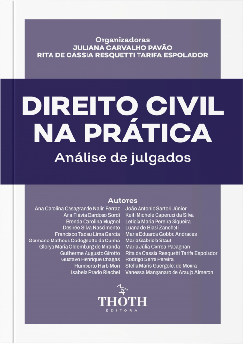 Direito Civil na Prática: Análise de Julgados