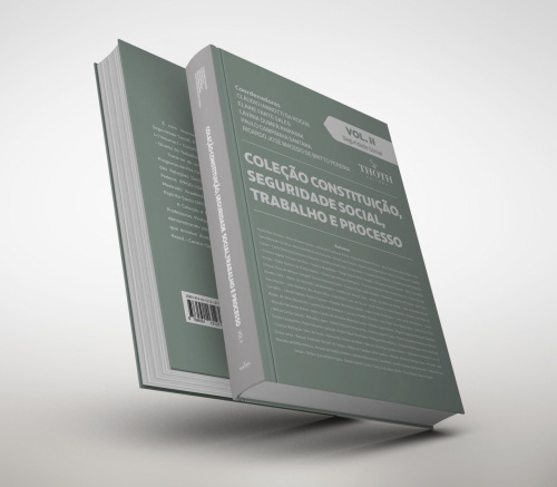 Coleção Constituição, Seguridade Social, Trabalho e Processo: Seguraridade Social - Volume 2