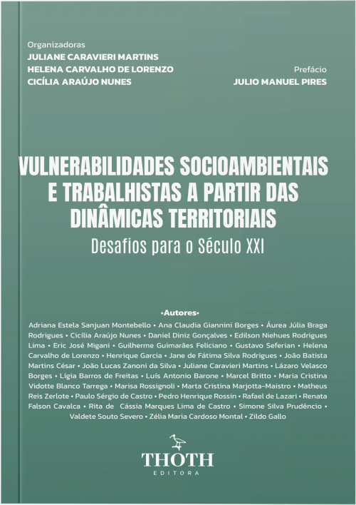 Vulnerabilidades Socioambientais e Trabalhistas a Partir das Dinâmicas Territoriais: Desafios para o Século XXI