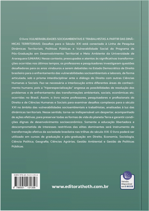 Vulnerabilidades Socioambientais e Trabalhistas a Partir das Dinâmicas Territoriais: Desafios para o Século XXI