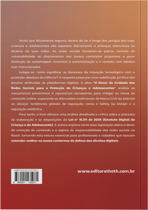 O Dever de Cuidado das Redes Sociais para a Proteção de Crianças e Adolescentes: Perspectivas Regulatórias para Mitigar os Riscos de Conteúdo no Brasil