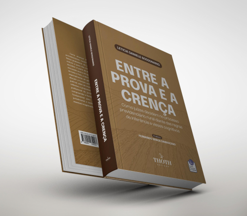 Entre a Prova e a Crença: Como Juízes Decidem no Processo Previdenciário Rural Diante Das Regras de Inferência e Vieses Cognitivos