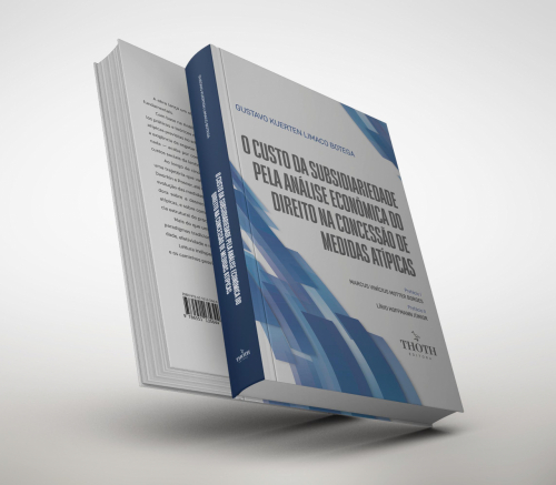 O Custo da Subsidiariedade Pela Análise Econômica do Direito na Concessão de Medidas Atípicas