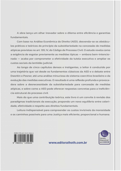 O Custo da Subsidiariedade Pela Análise Econômica do Direito na Concessão de Medidas Atípicas