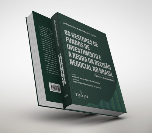 Os Gestores de Fundos de Investimento e a Regra da Decisão Negocial no Brasil (business judgment rule)