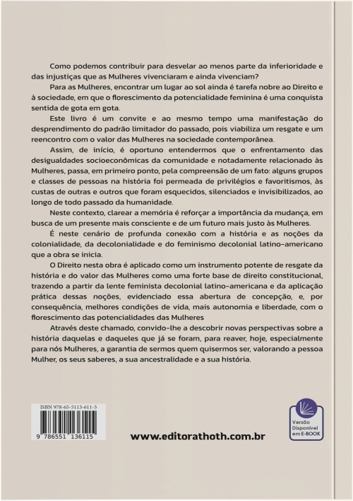Feminismo Decolonial Latino-americano, Direitos Fundamentais Sociais e Solidariedade: Um Diálogo Entre a Teoria e a Prática
