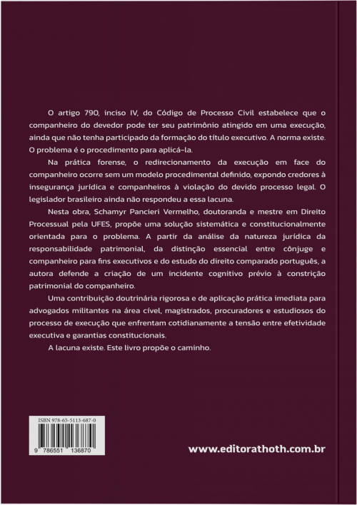 O Companheiro Como Responsável Patrimonial: Um Diálogo Necessário Entre as Garantias Constitucionais e o Redirecionamento da Execução