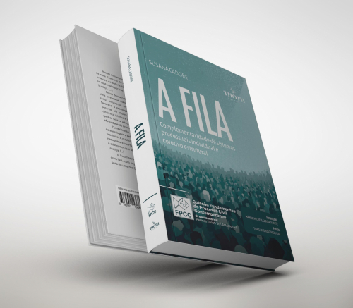 A Fila: Complementaridade de Sistemas Processuais Individual e Coletivo Estrutural