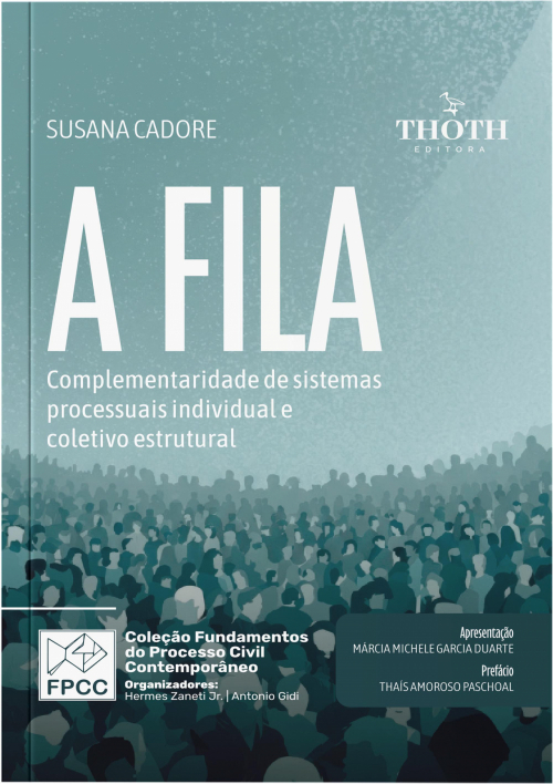 A Fila: Complementaridade de Sistemas Processuais Individual e Coletivo Estrutural