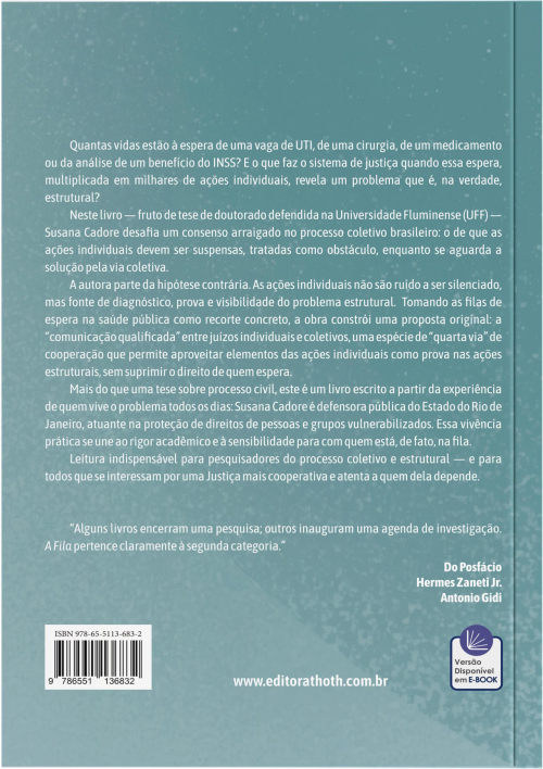 A Fila: Complementaridade de Sistemas Processuais Individual e Coletivo Estrutural
