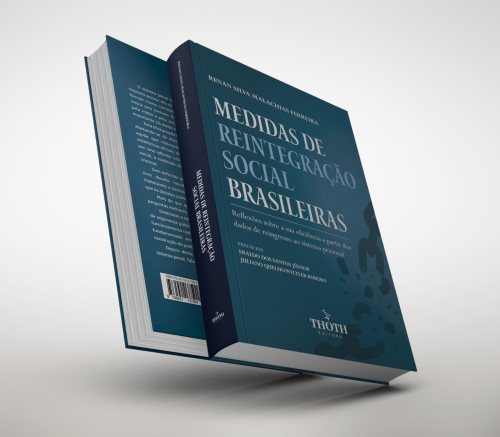 Medidas de Reintegração Social Brasileiras: Reflexões Sobre a Sua Eficiência a Partir dos Dados de Reingresso ao Sistema Prisional