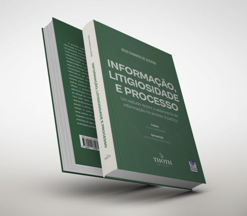 Informação, Litigiosidade e Processo: Um Estudo Sobre a Assimetria de Informação no Acesso à Justiça