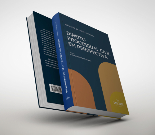 Direito Processual Civil em Perspectiva