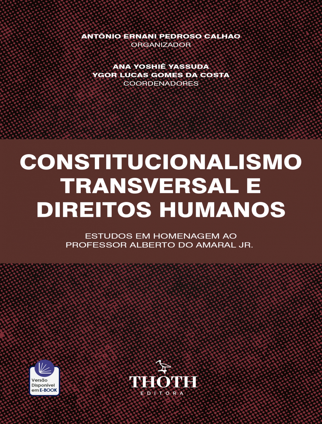 A Politização dos Direitos Humanos (Em Portuguese do Brasil)