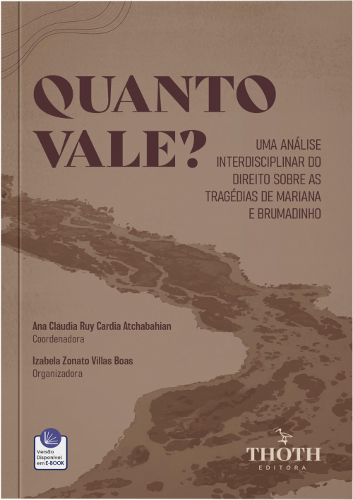 Quanto Vale? Uma Análise Interdisciplinar do Direito sobre as Tragédias de Mariana e Brumadinho