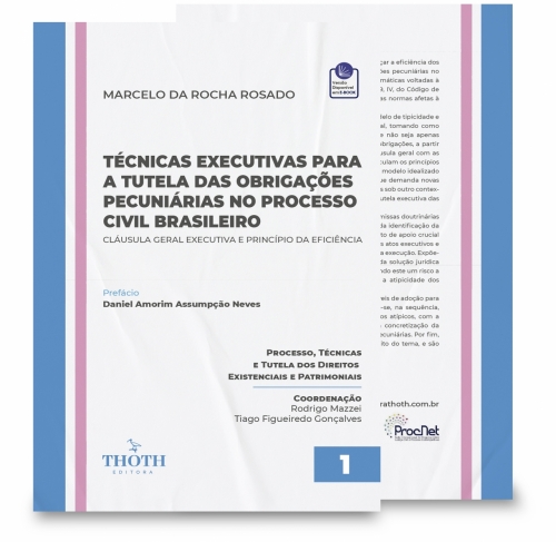 Técnicas Executivas para a Tutela das Obrigações Pecuniárias no Processo Civil Brasileiro: Cláusula Geral Executiva e Princípio da Eficiência