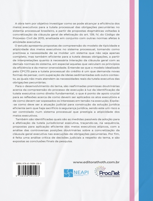 Técnicas Executivas para a Tutela das Obrigações Pecuniárias no Processo Civil Brasileiro: Cláusula Geral Executiva e Princípio da Eficiência