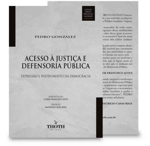 Acesso à Justiça e Defensoria Pública: Expressão e Instrumento da Democracia