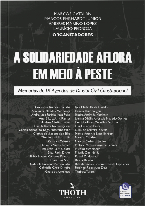 A Solidariedade Aflora em Meio à Peste: Memórias do IX Agendas de Direito Civil Constitucional