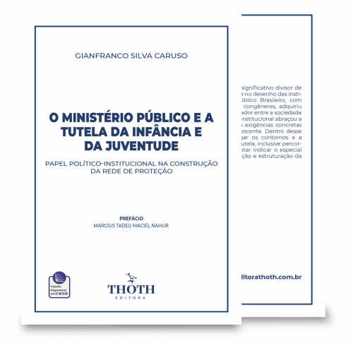 O Ministério Público e a Tutela da Infância e da Juventude: Papel Político-Institucional na Construção da Rede de Proteção