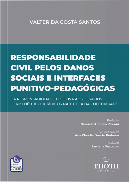 Responsabilidade Civil pelos Danos Sociais e Interfaces Punitivo-Pedagógicas: Da Responsabilidade Coletiva aos Desafios Hermenêutico-Jurídicos na Tutela da Coletividade