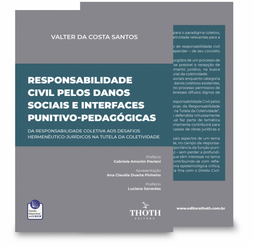 Responsabilidade Civil pelos Danos Sociais e Interfaces Punitivo-Pedagógicas: Da Responsabilidade Coletiva aos Desafios Hermenêutico-Jurídicos na Tutela da Coletividade