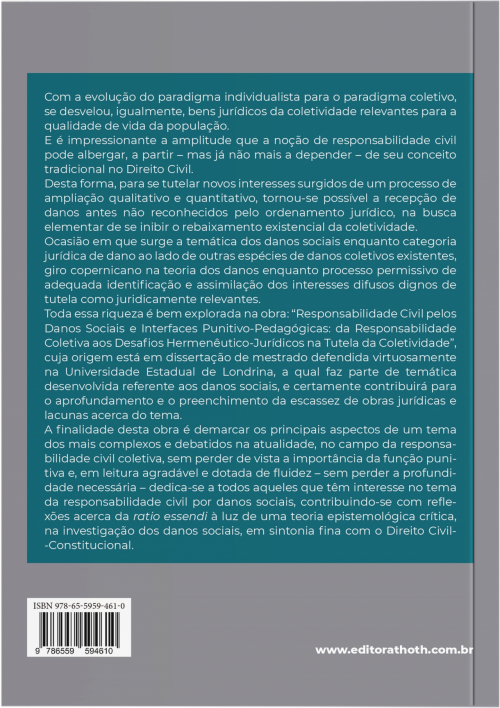 Responsabilidade Civil pelos Danos Sociais e Interfaces Punitivo-Pedagógicas: Da Responsabilidade Coletiva aos Desafios Hermenêutico-Jurídicos na Tutela da Coletividade