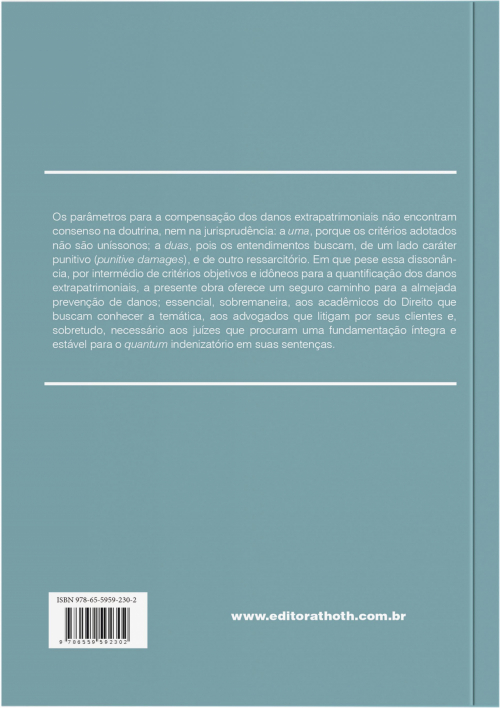 Danos Extrapatrimoniais: Interfaces entre Prevenção, Punição e Quantificação