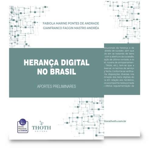Herança Digital no Brasil: Aportes Preliminares
