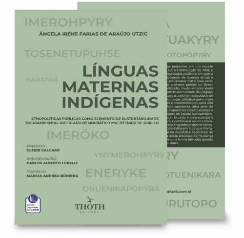 Línguas Maternas Indígenas: Etnopolíticas Públicas como Elemento de Sustentabilidade Socioambiental do Estado Democrático Multiétnico de Direito
