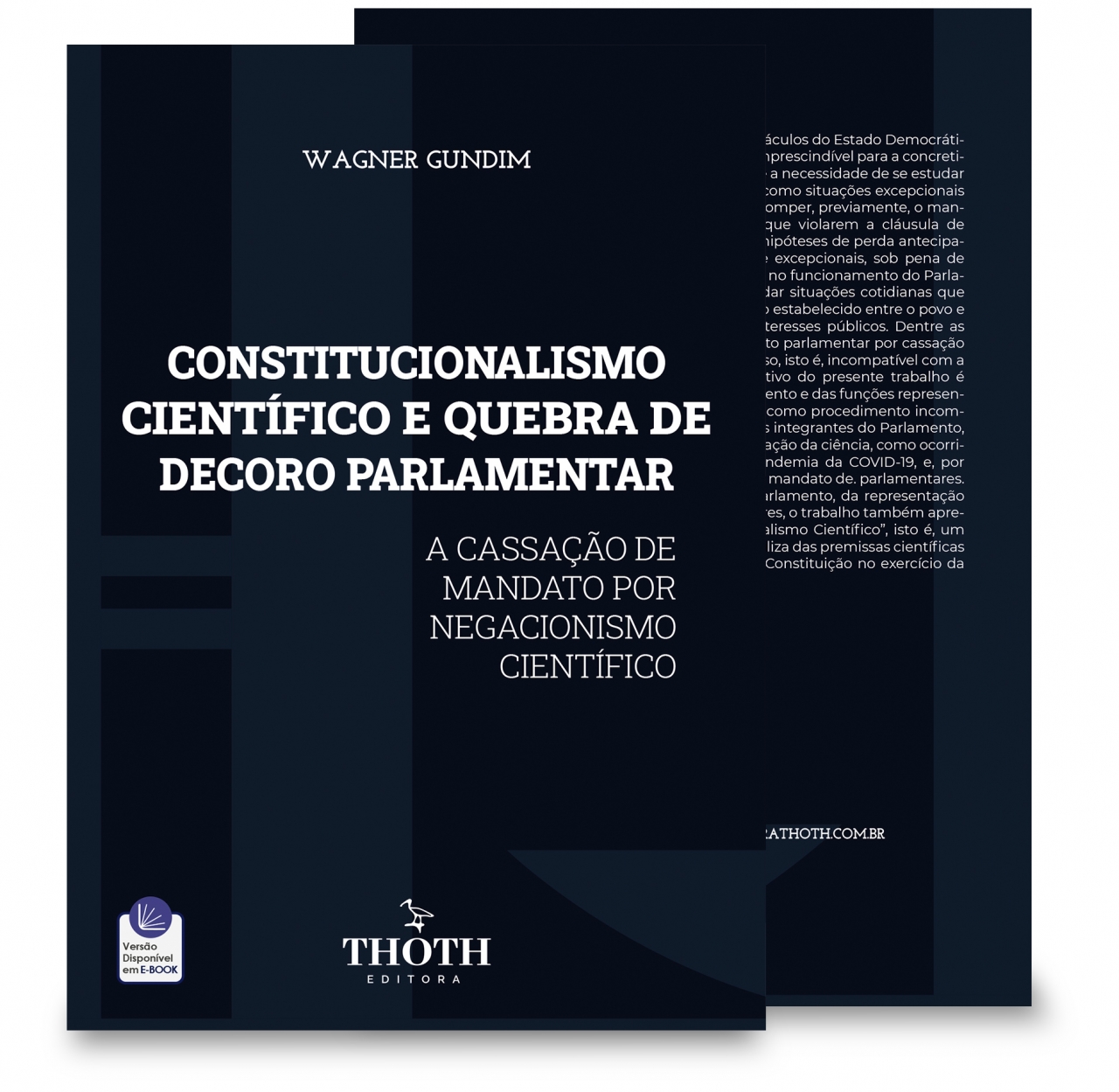 PDF) Regras constitutivas podem criar uma prática?
