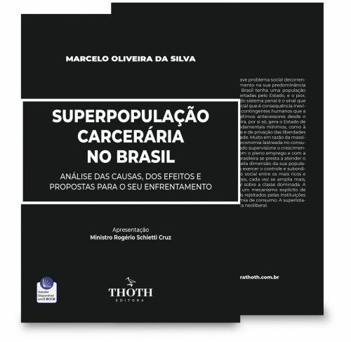 Superpopulação Carcerária no Brasil: Análise das Causas, dos Efeitos e Propostas para o seu Enfrentamento 