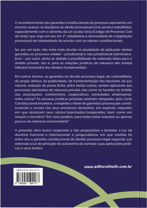 Garantias Processuais Constitucionais: Aplicação aos Processos Decisórios de Natureza Privada