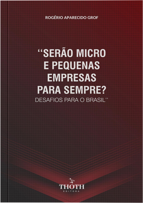 Serão micro e pequenas empresas para sempre? desafios para o Brasil