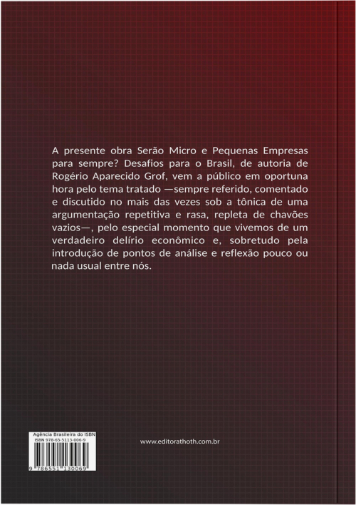 Serão micro e pequenas empresas para sempre? desafios para o Brasil