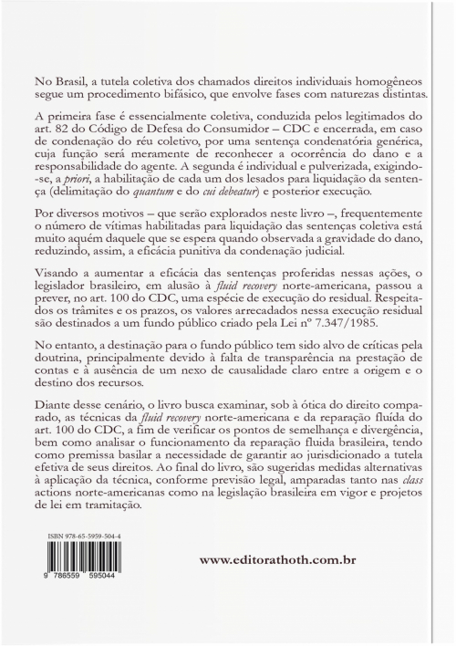 A Fluid Recovery Brasileira e o Descompromisso com a Tutela Jurisdicional Efetiva: Em Busca de Alternativas 