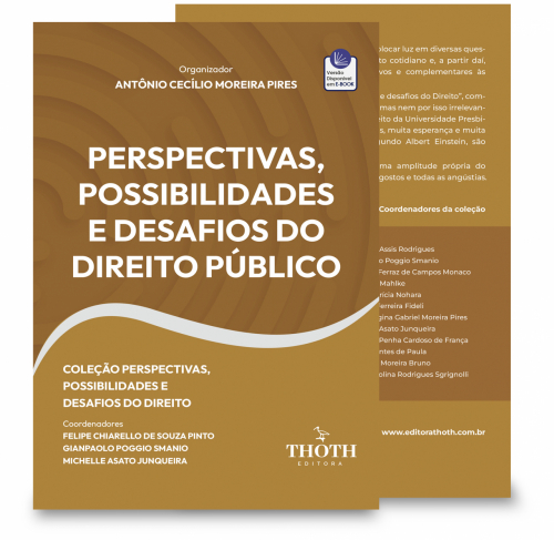 Perspectivas, Possibilidades e Desafios do Direito Público Vol. 9