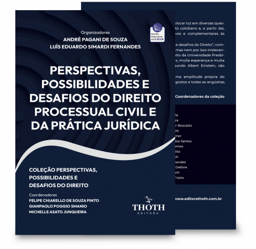 Perspectivas, Possibilidades e Desafios do Direito Processual Civil e da Prática Jurídica